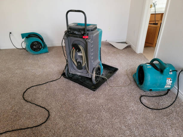 Best Water damage restoration near me  in Sault Ste Marie, MI