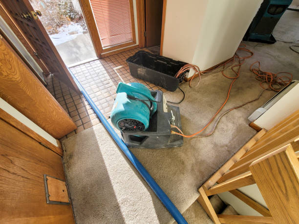 Fire Damage Restoration in Sault Ste Marie, MI