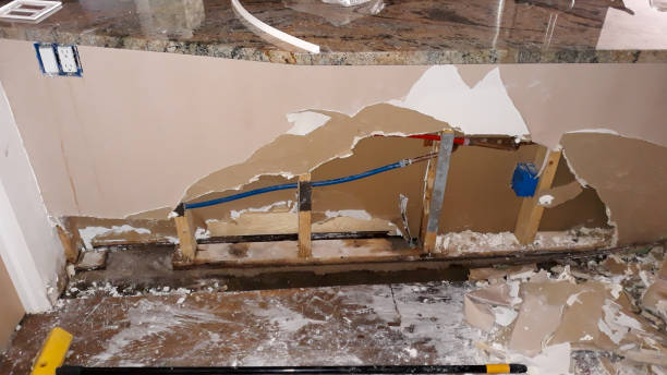 Best Flood damage cleanup  in Sault Ste Marie, MI