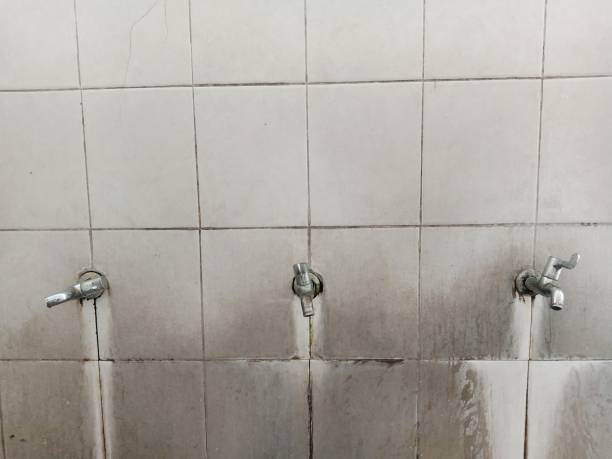 Water damage restoration insurance claims in Sault Ste Marie, MI