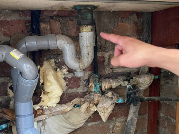 Best Professional water damage repair  in Sault Ste Marie, MI