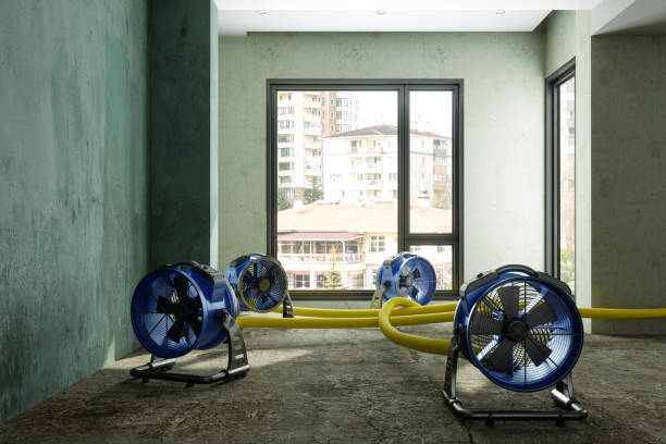 Professional Water damage restoration in Sault Ste Marie, MI